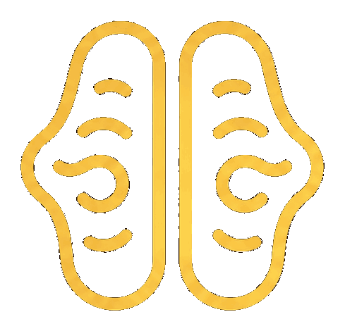 The Brain Theory